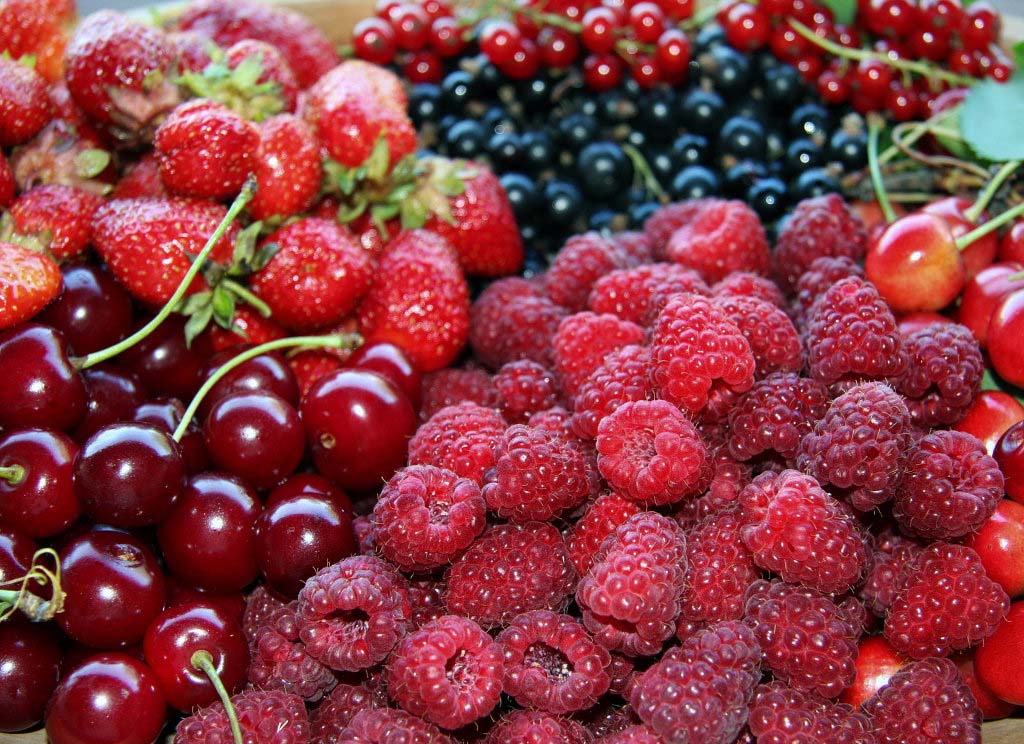 Metabolismo lento? Aiutiamolo con la dieta dei frutti rossi